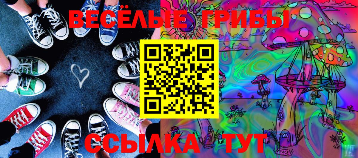 Ставрополь  Псилоцибиновые грибы Magic Shrooms  Вход с VPN 